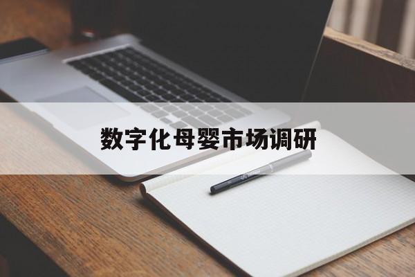 赤峰市数字化母婴市场调研(数字化母婴市场调研报告)