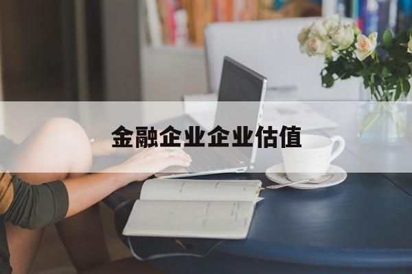 赤峰市金融企业企业估值(最新企业估值怎么填)